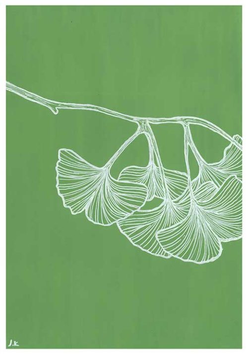 Ginkgo - Agave Designs