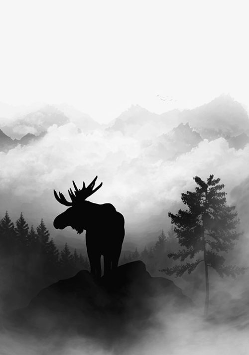 Moose - Gabriella Roberg