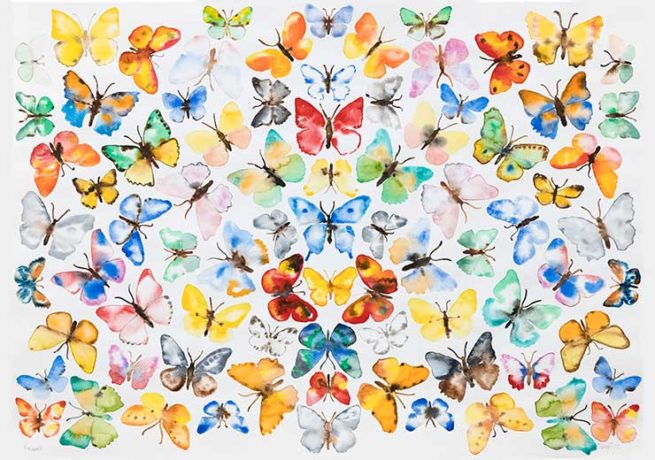 Butterflies - Turid T