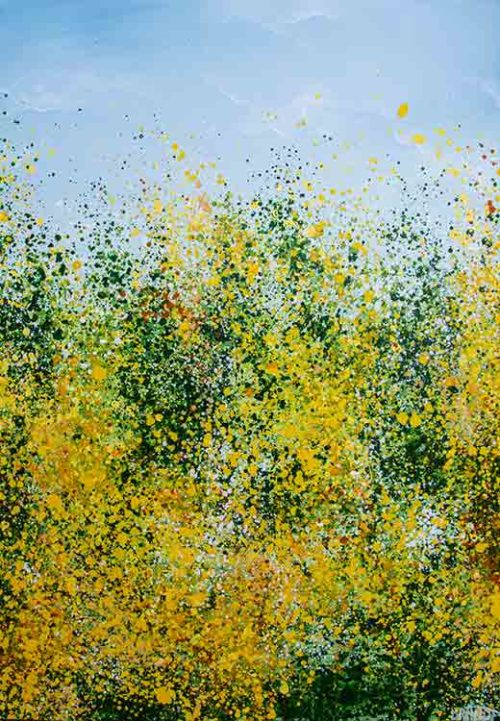 Rapeseed Field - Anna Brandt