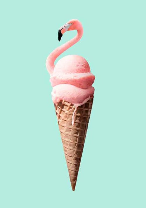 Flamingo Cone - Jonas Loose