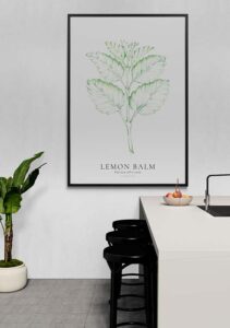 Lemon Balm - Stine Rødseth