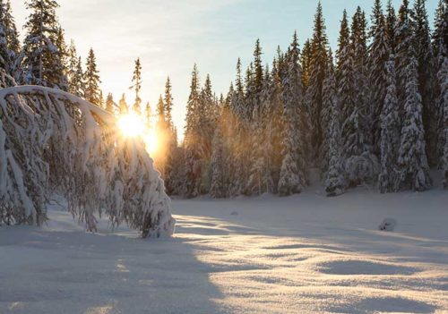 Sunrise - Øyvind Sjøvoll