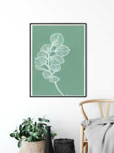 Silver Dollar Eucalyptus - Agave Designs