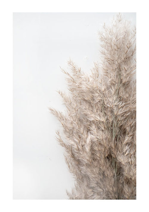 Autumn Reed no. 1