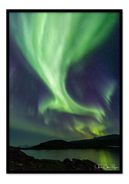 Northern Lights like a Claw - Anne Olsen-Ryum