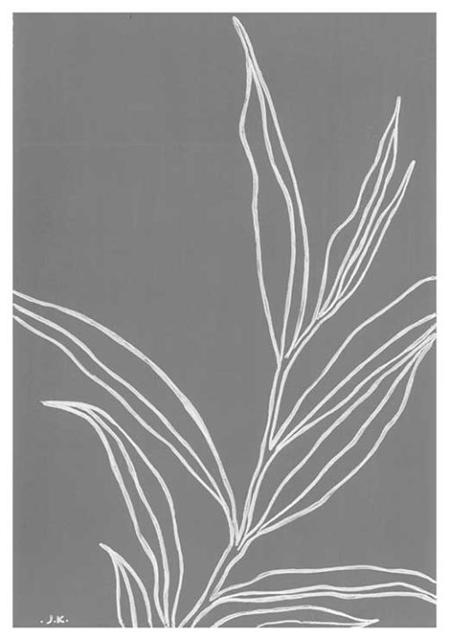 Eucalyptus Nicholii BW - Agave Designs