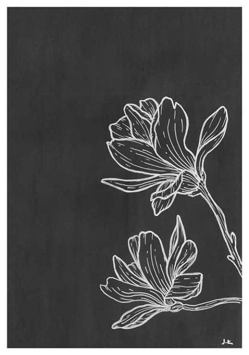 Magnolias BW - Agave Designs