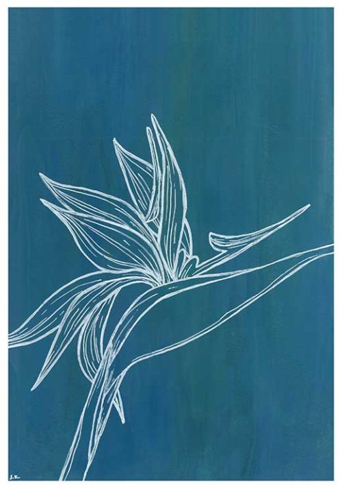 Bird of Paradise - Agave Designs