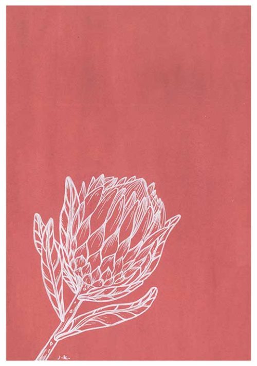 Protea - Agave Designs