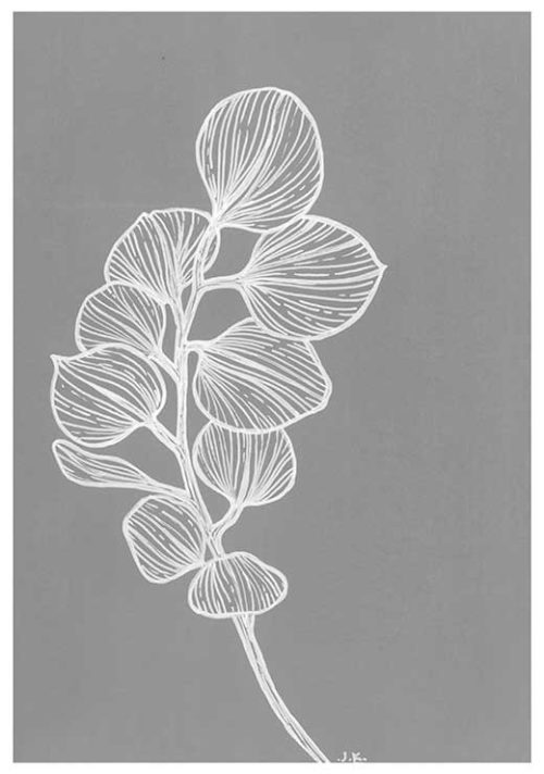 Silver Dollar Eucalyptus BW - Agave Designs