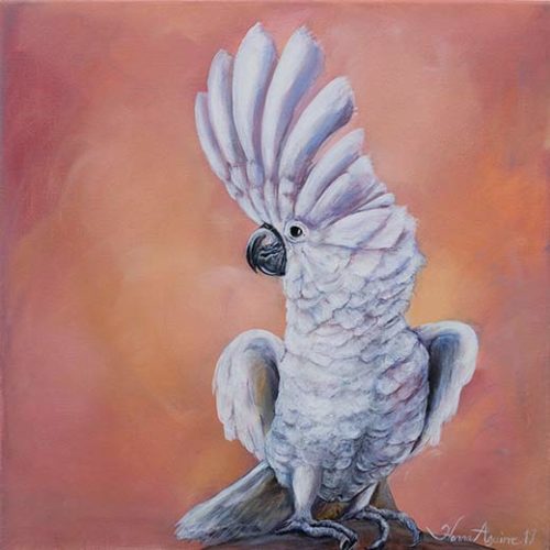 Cockatoo - Hanna Aguirre